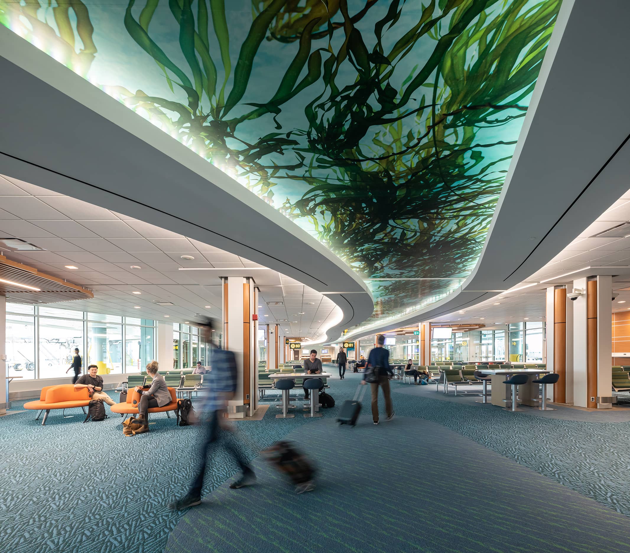 bbp yvr pier d ceiling feature